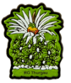 Spaziergang zur Waldschenke