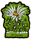 Spaziergang zur Waldschenke