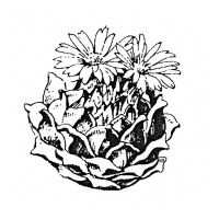 Generalversammlung mit Nachtessen