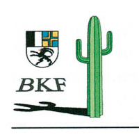 Filmli und Sammlungen