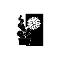 Echinocereen und Ferokakteen in Mexiko