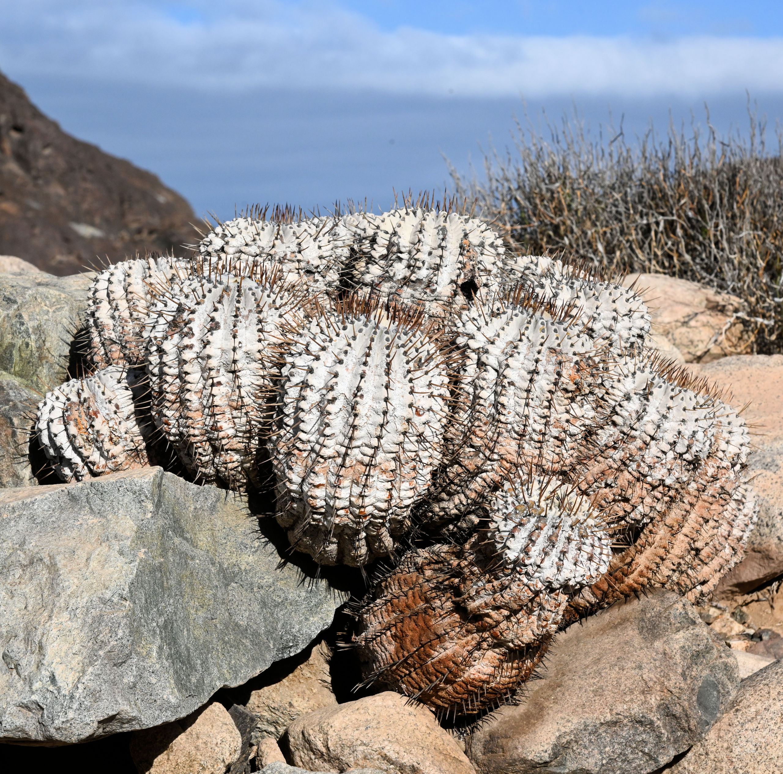 Foto: Ren&eacute; Deubelbeiss